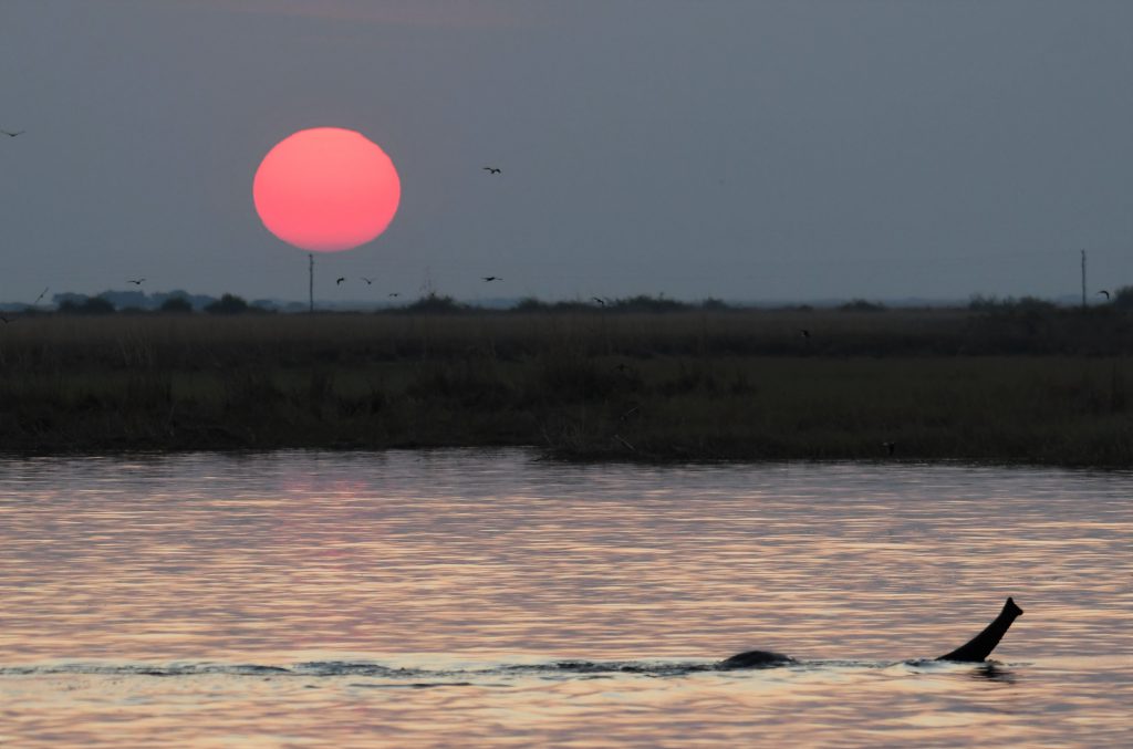 צ'ובה, בוטסואנה 07/2023